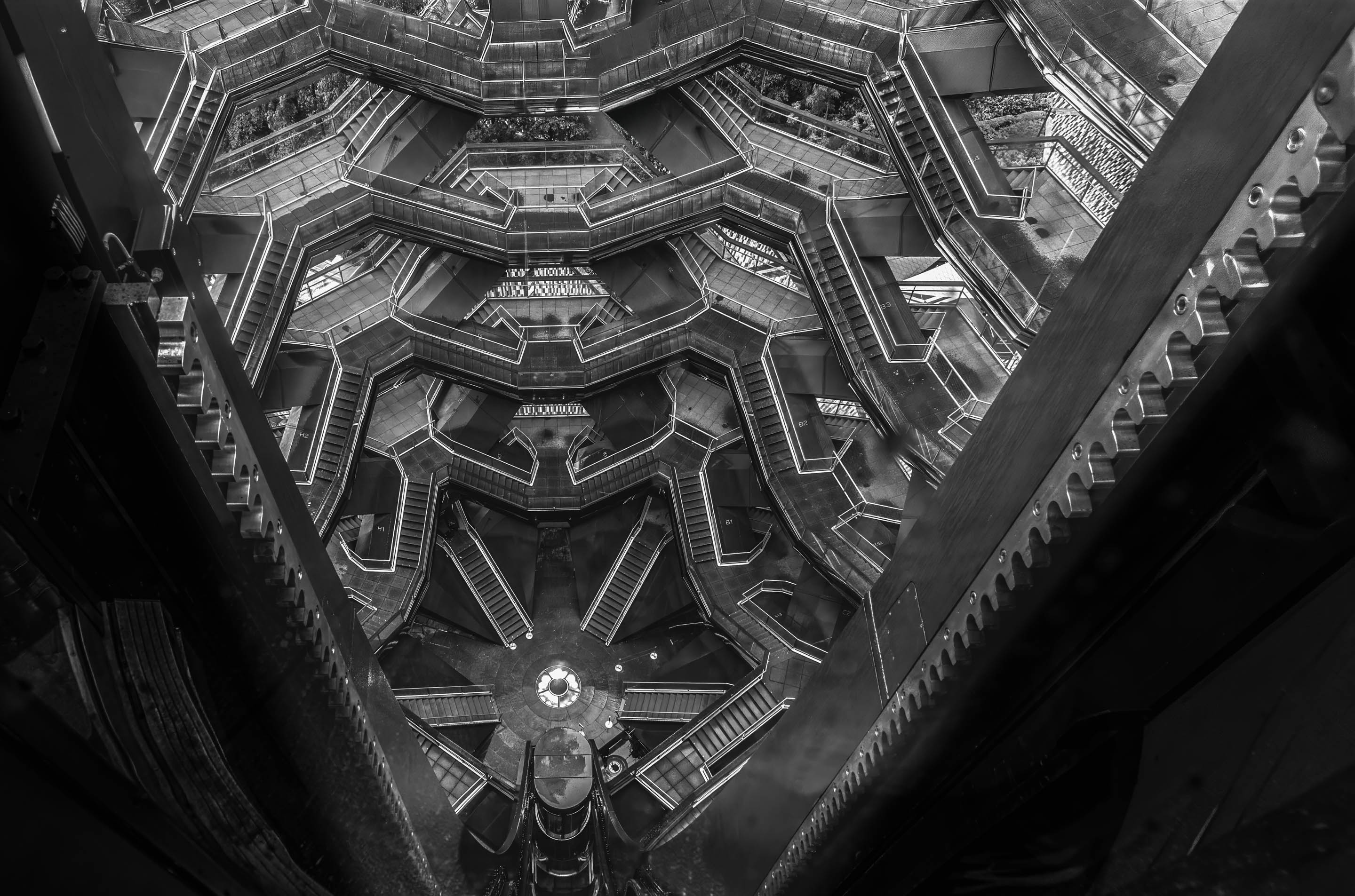 Assigned Pictorial Level 2 1st Place Vertigo.jpg